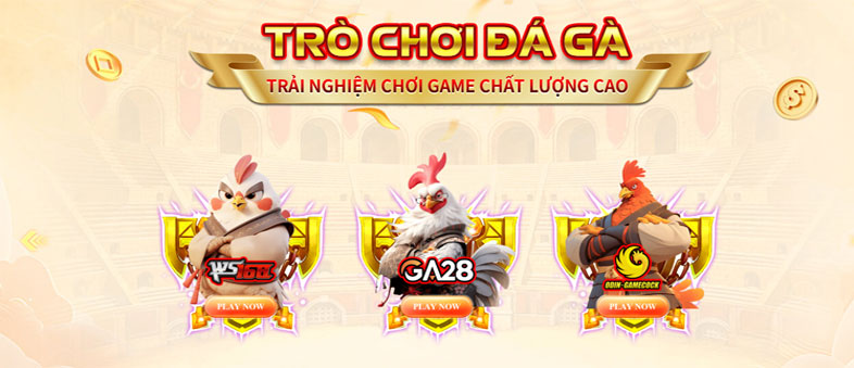 CHUYÊN MỤC ĐÁ GÀ TRỰC TUYẾN