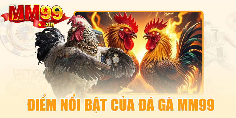 Điểm nổi bật của đá gà MM99