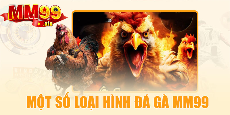 Một số loại hình đá gà MM99